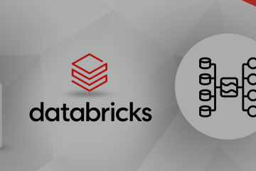 Databricks cover